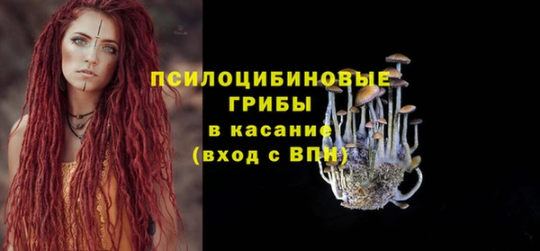 мдпв Абинск