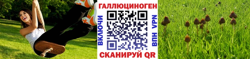 где купить наркотик  Заволжье  Галлюциногенные грибы Cubensis 