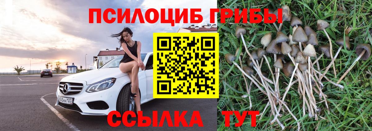Псилоцибиновые грибы Psilocybine cubensis  Псилоцибиновые грибы Cubensis  Заволжье  Вход с VPN 